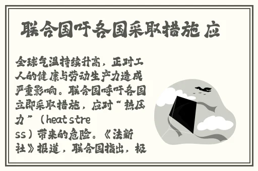 菠萝菠萝蜜高清在线视频观看免费